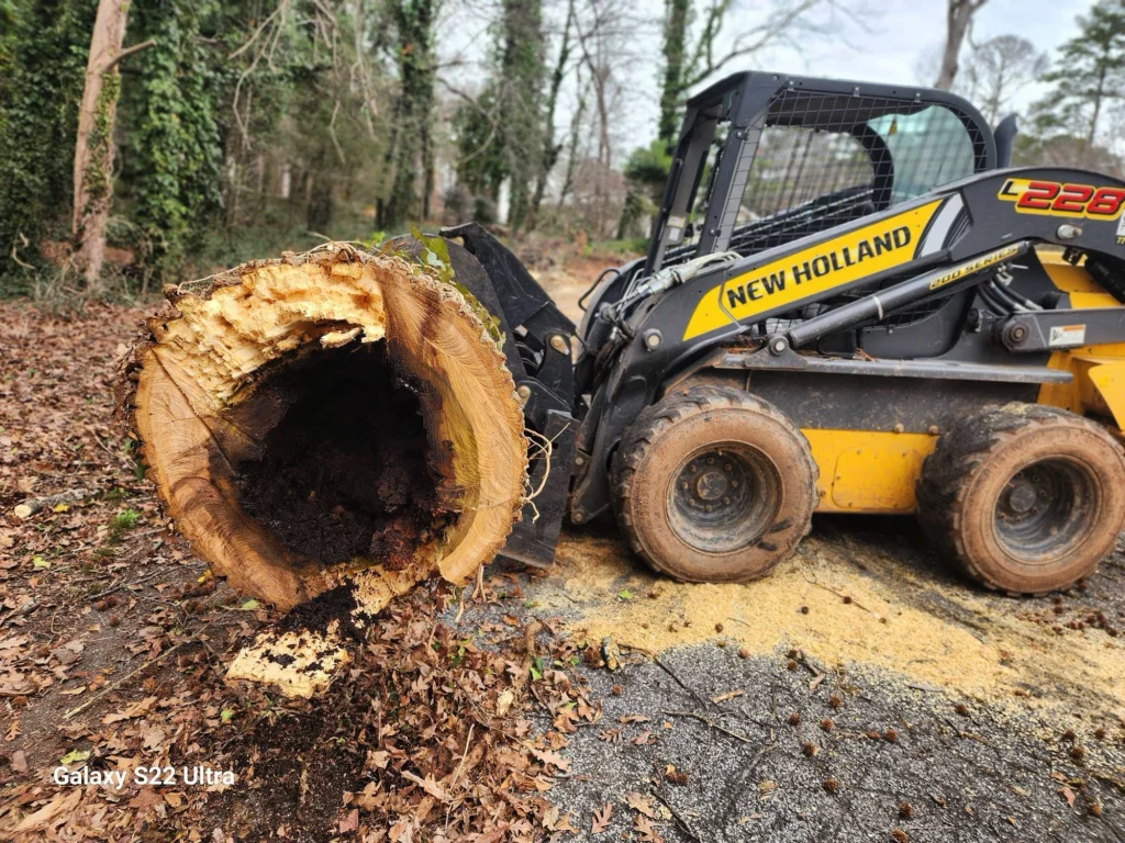 fayette tree removing fallen limbs and stumps of trees for emergency storm damage cleanup in fayetteville ga