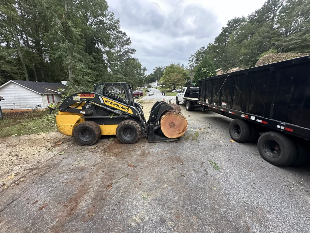 Large tree trunk and cut sections being removed from a residential property during professional tree removal
