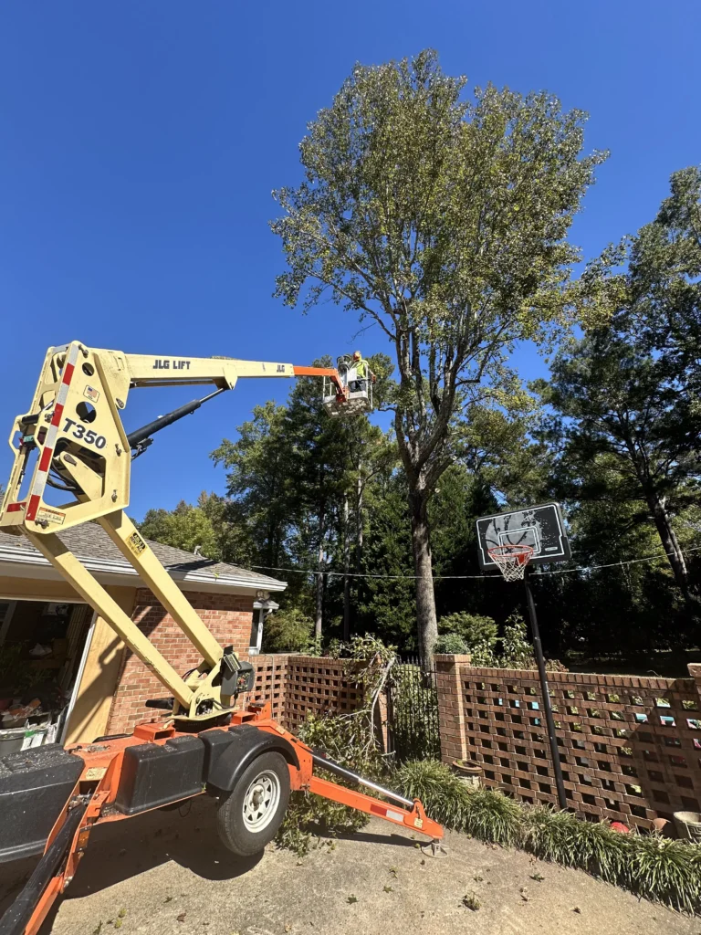 Fayette Tree worker using an aerial lift to remove large tree branches during a residential tree removal project