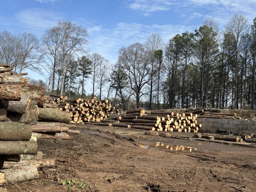 Stacks of cut logs across a cleared wooded property after land and lot clearing
