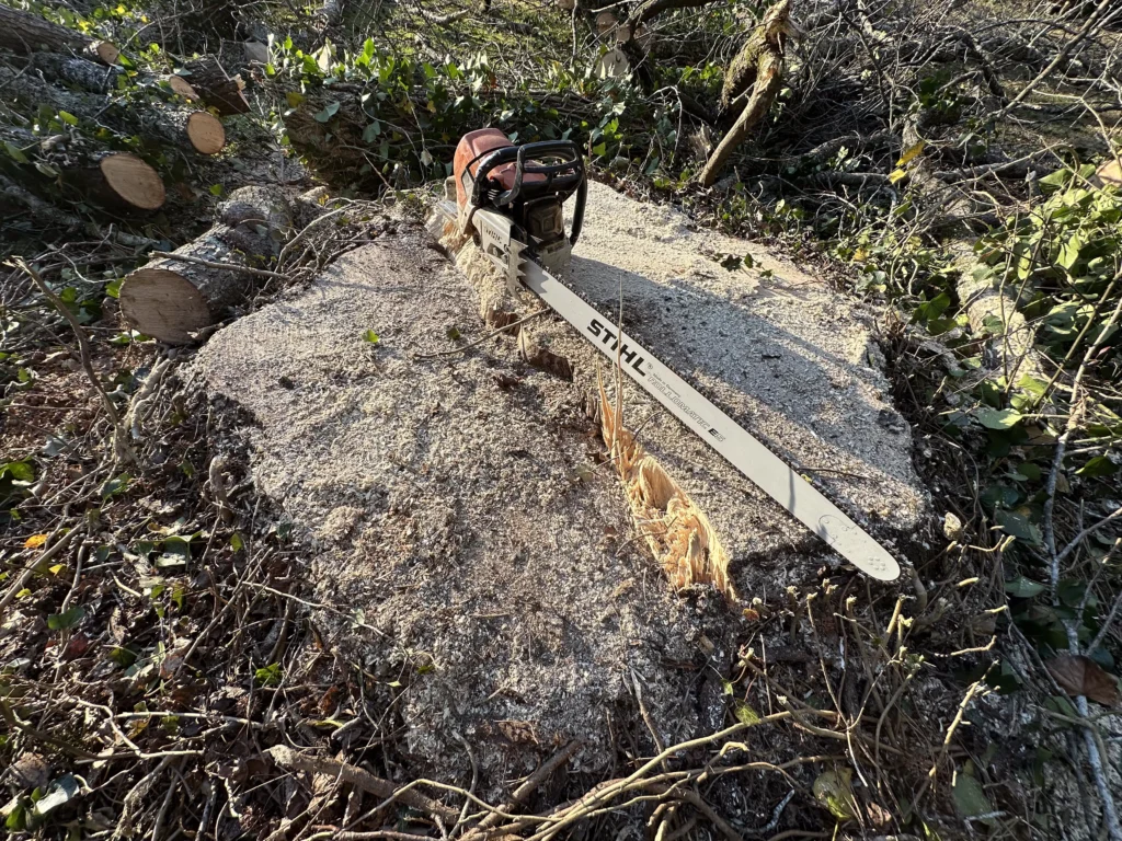 Chainsaw resting on a large freshly cut storm-damaged tree trunk during cleanup work