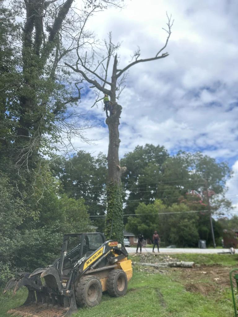 Fayette Tree worker removing a damaged tree with a skid steer during an emergency tree removal project